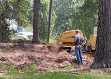 Arborist Services